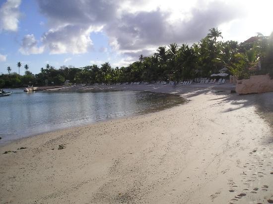 Beach At Lagoon