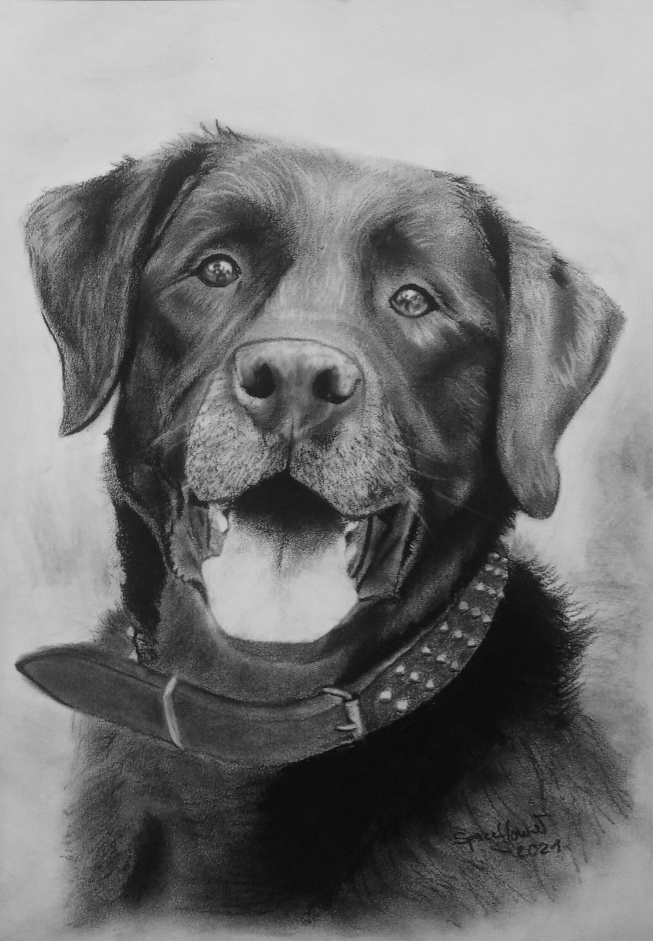 A3 Kohleportrait