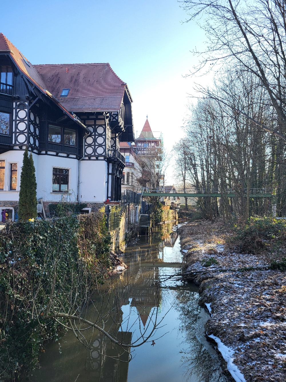 Die Mühlpleiße ist einer der vielen Wasseradern in der Leipziger Tieflandbucht.