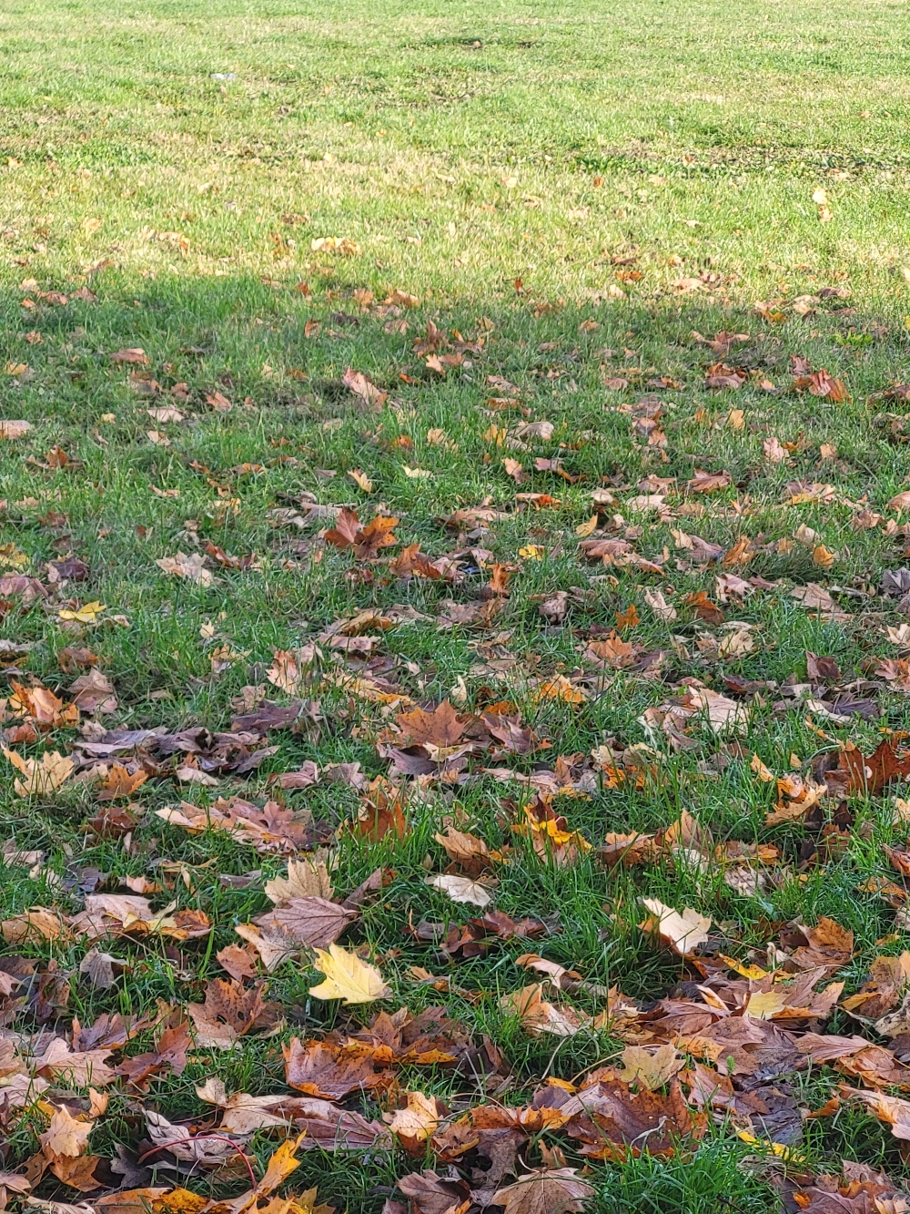 Im Agrapark
