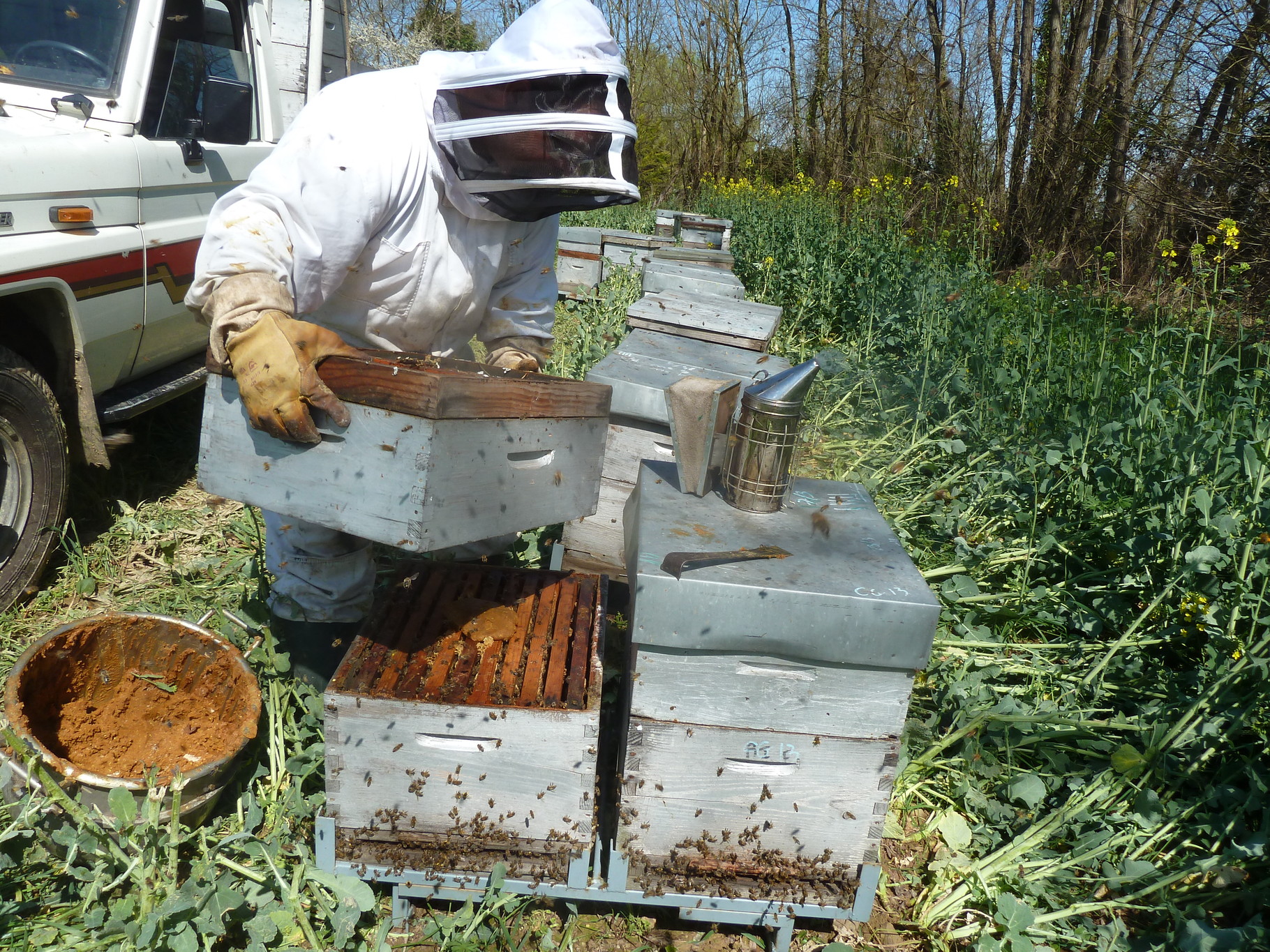 Comment introduire ma reine ? Apicultureaquitaine, spécialisé en élevage de reines Comment introduire ma reine ? Apicultureaquitaine, spécialisé en élevage de reines