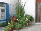 Bilder: Manolates