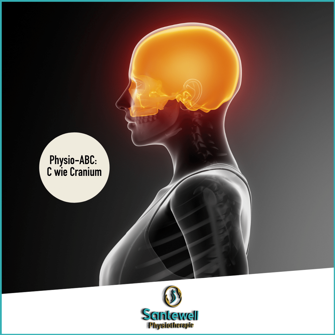 Cranio Sacrale Therapie