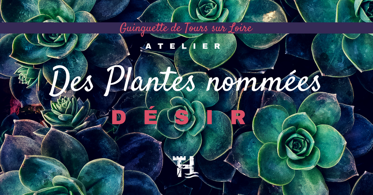 Touraine Terre d'Histoire - Val de Loire - atelier plantes aphrodisiaques - ethnobotaniques
