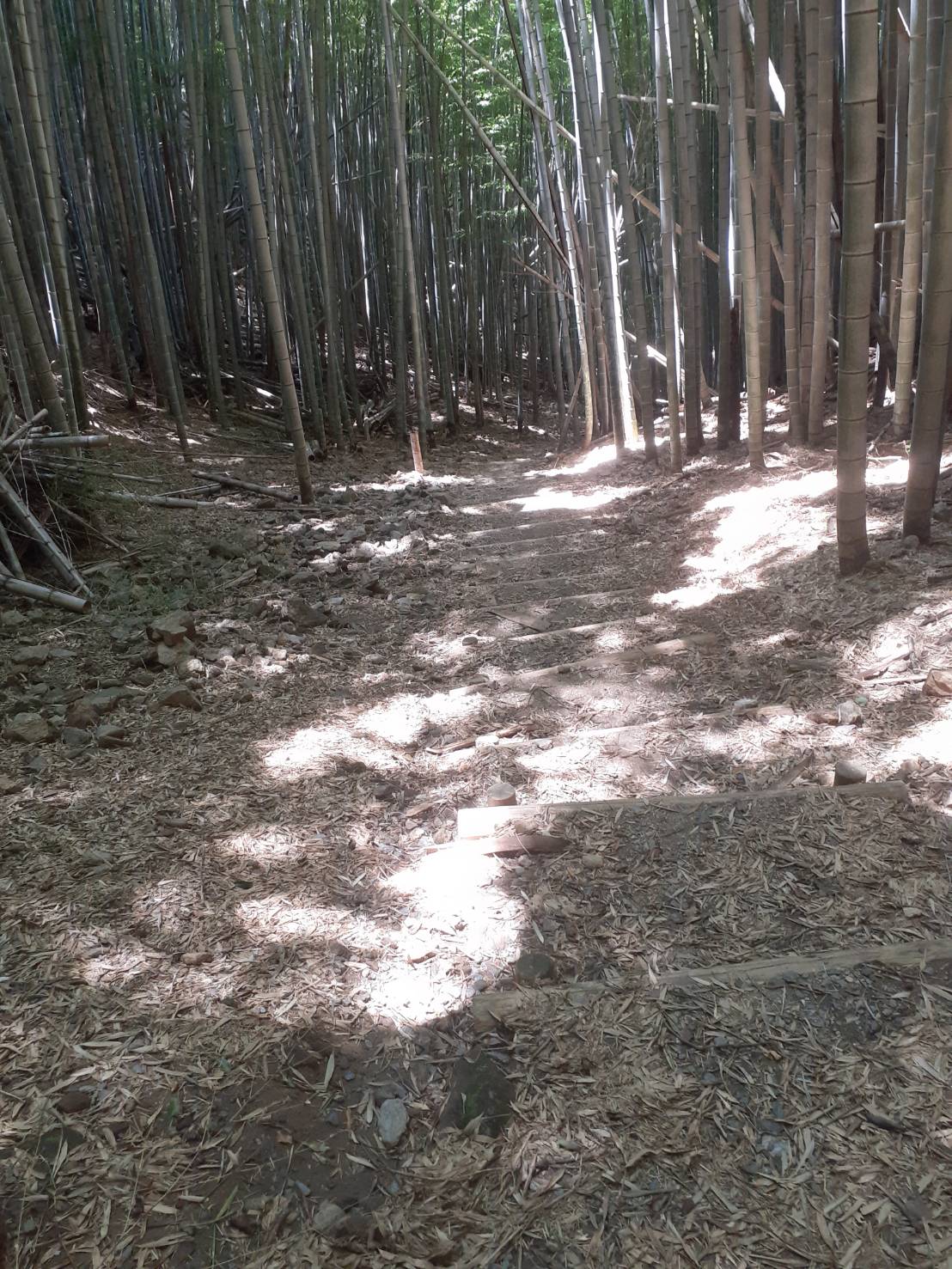 みやま清水山オルレコース整備