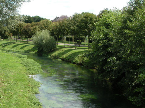 The river : Authie