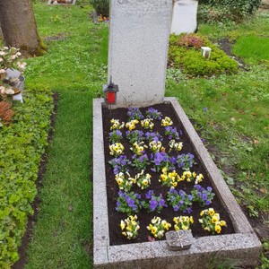 Saisonale Grabbepflanzung Muenchen Sendling Blumenhuette Sendlinger Friedhof Grabpflege
