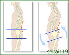 骨盤の前傾と腰椎の前湾