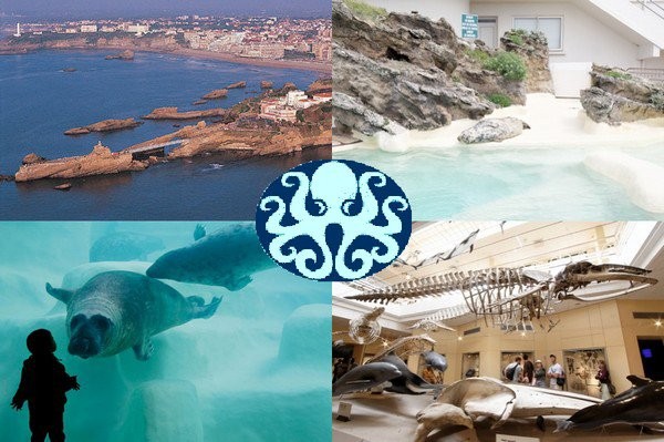 Musée de la Mer