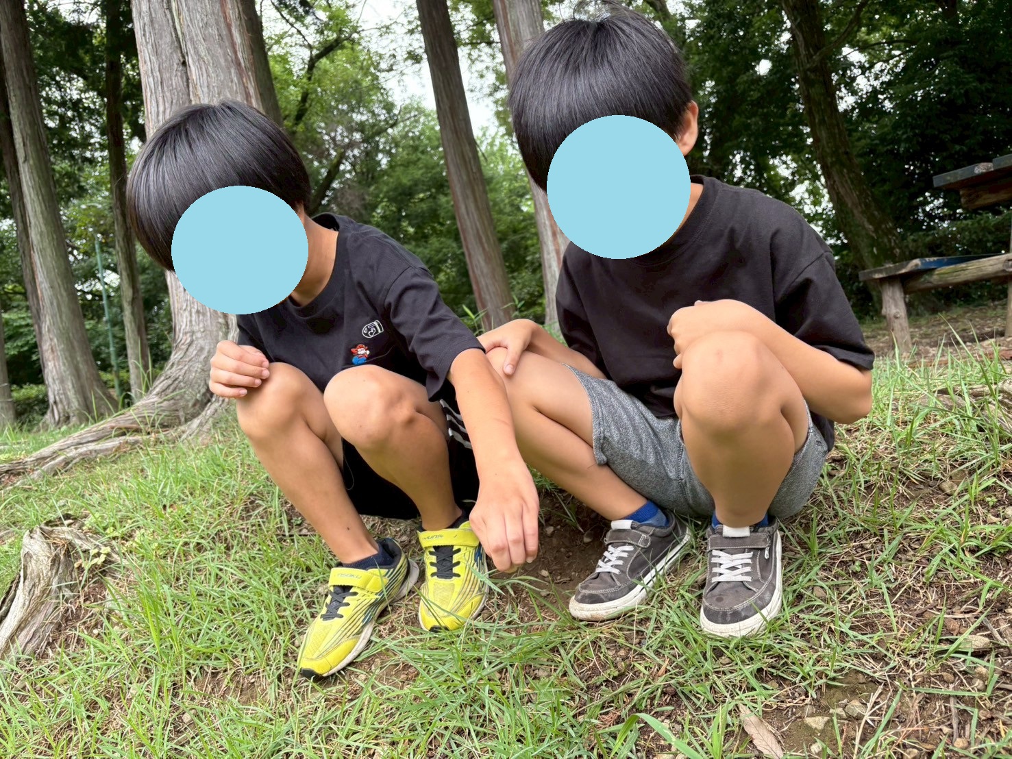 虫取り大会開催🐞