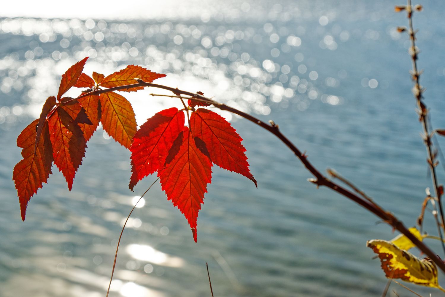 Traumwetter am Walchensee