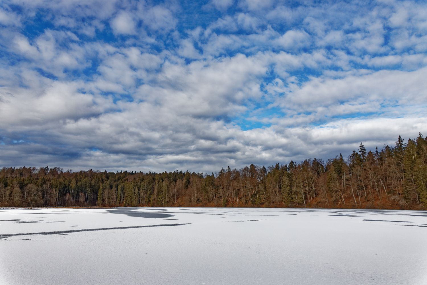 Eis auf dem Hackensee