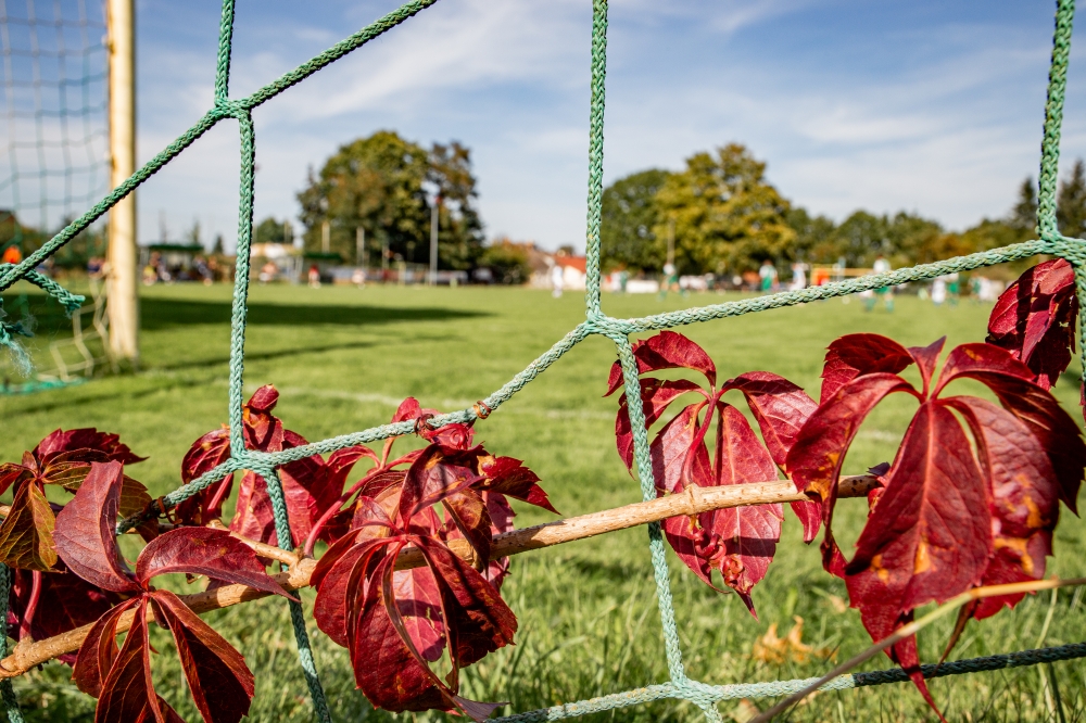 Groundhopping: SpG Torgau II/Schildau II/Kobershain vs. SpG Beilrode II/Arzberg