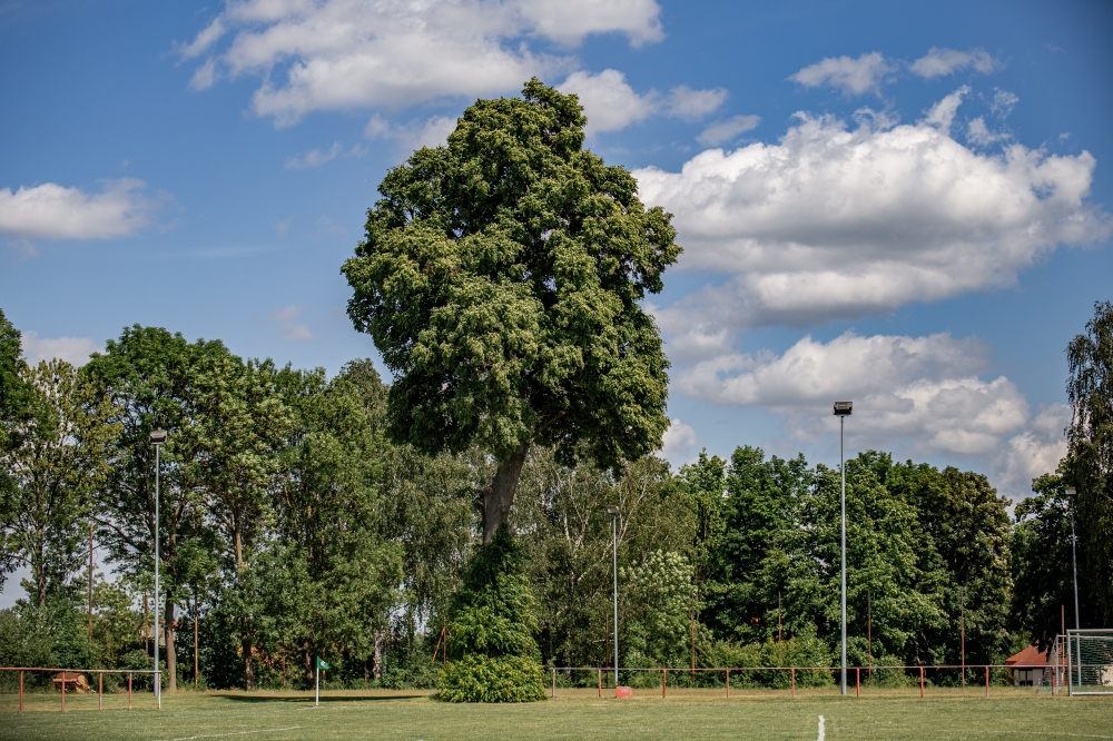 Groundhopping: SV Mügeln-Ablaß vs. FSV Glesien