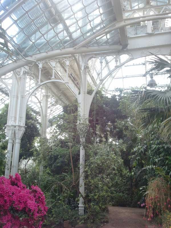 19.4.2015:Palmenhaus im Schloss Schönbrunn