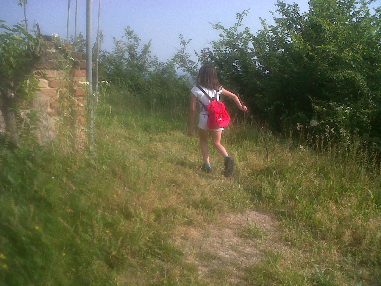 PASSEGGIANDO...