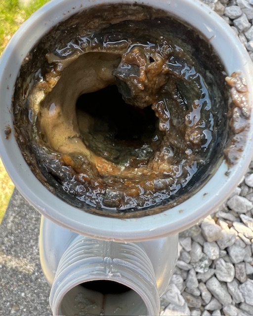 キッチン下の排水トラップ内部で、油脂汚れとバイオフィルムが厚く付着し閉塞している様子。