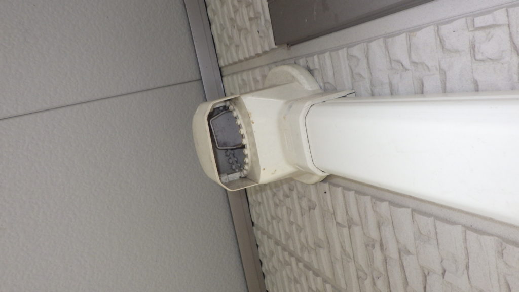 エアコンの中に蝙蝠！