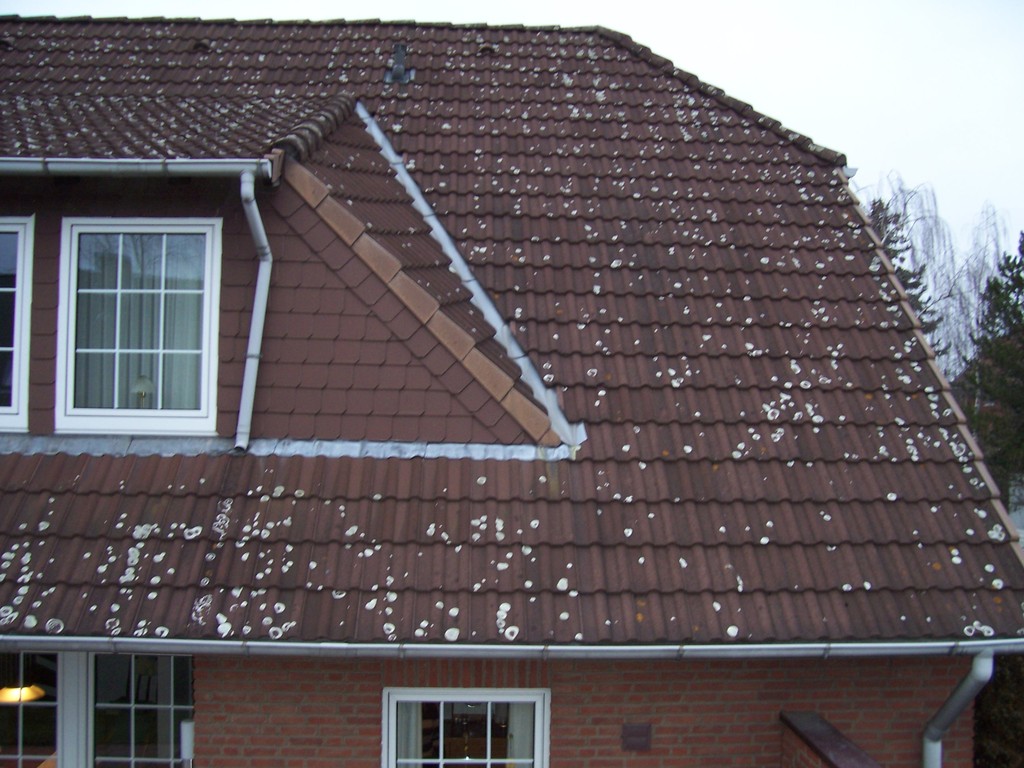 Dachreinigung Meisel Dachbeschichtung Garbsen
