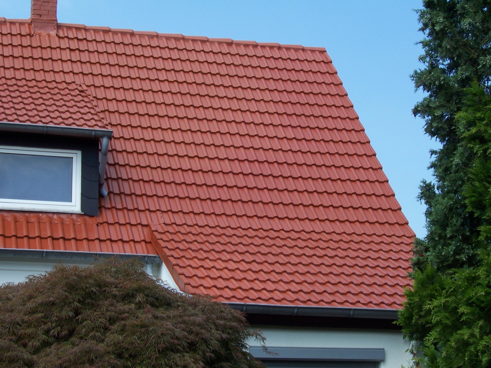 Dachreinigung Meisel Dachbeschichtung Braunschweig