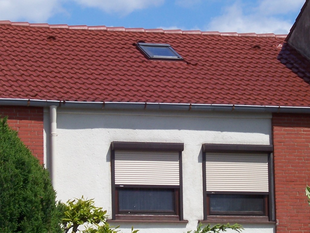Dachreinigung Meisel Dachbeschichtung Braunschweig - Heidberg