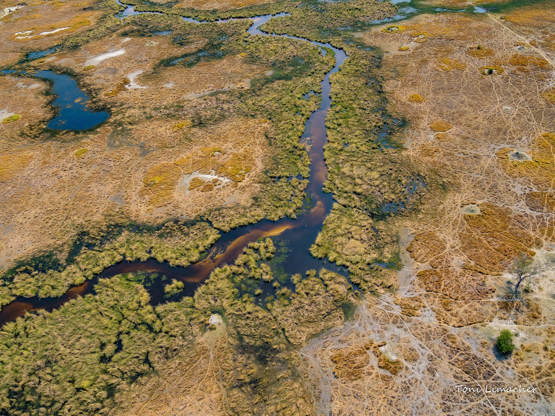 Okawanga Delta Botswana
