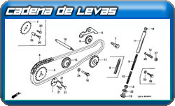 cadena de levas