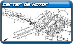 carter de motor