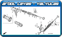 Arbol levas - valvulas