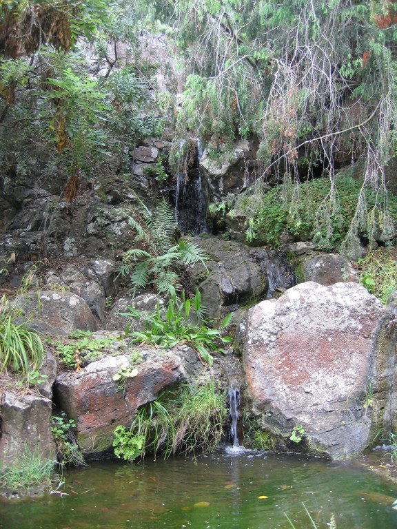 Botanischer Garten auf Gran Canaria