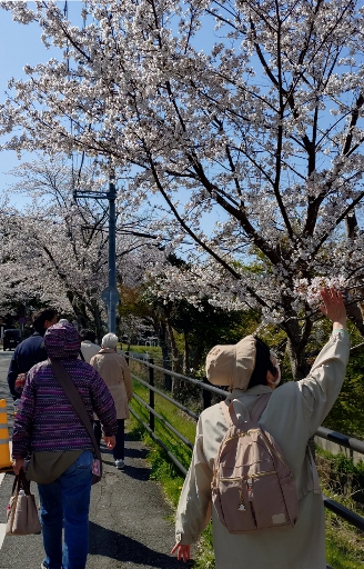 センターからのお知らせ（令和8年度難聴者向け手話教室）