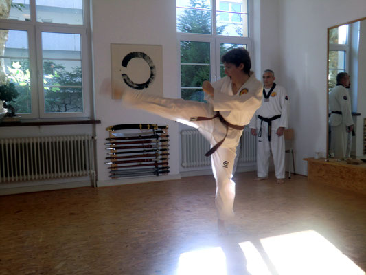 Taekwondo, Prüfung 1. Dan, 2013