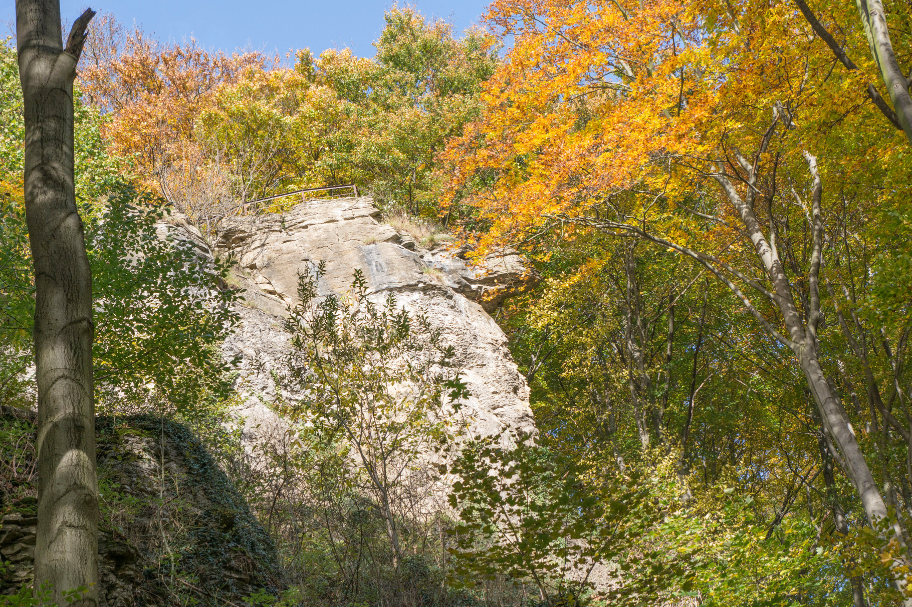 Hohenstein Süntel