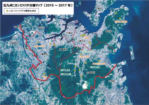 北九州市のニホンミツバチ分蜂マップ 