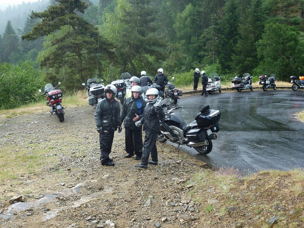 stoïques sous la pluie ...