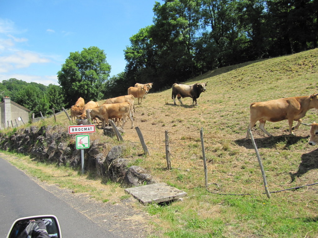 Brocmat ou Brommat, mais de bons steak en vue