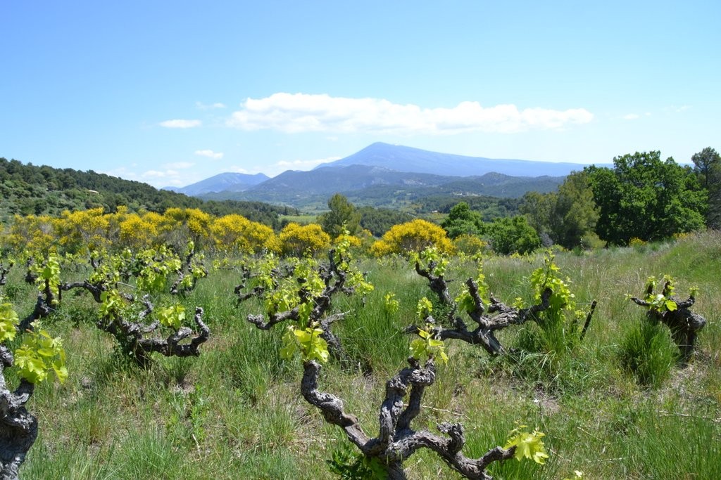 sur la route de Suzette