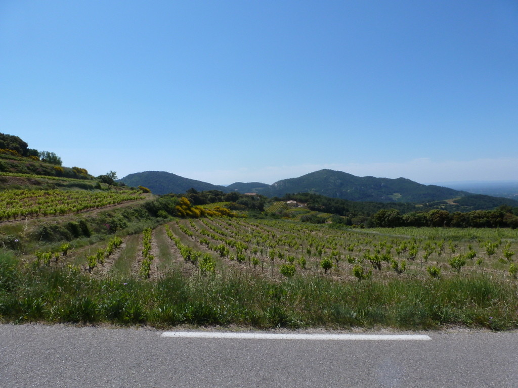 "côte du Rhône" en puissance !!!