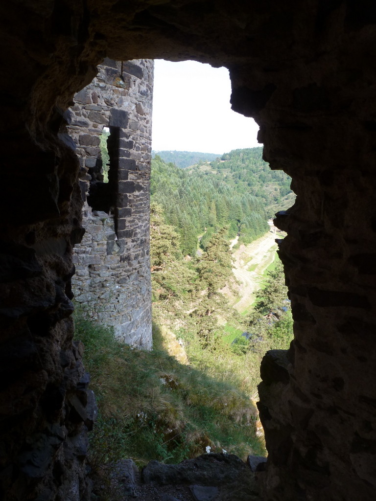 vue du château d'Alleuze