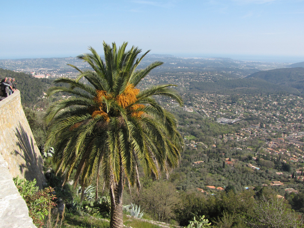 ... la baie de Cannes