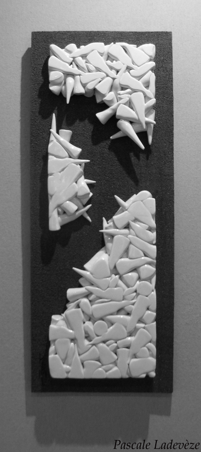 Plaque compression éclatée 1