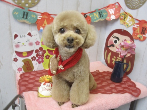 うにちゃん