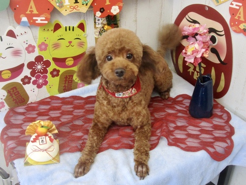 ララちゃん