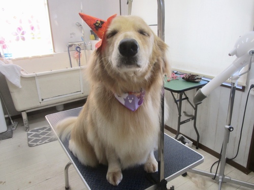 ラブリちゃん