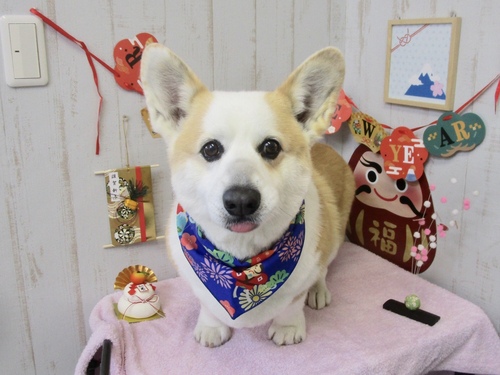 マルくん