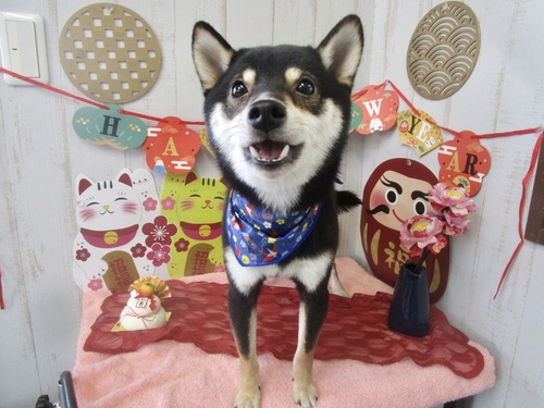 寿来くん
