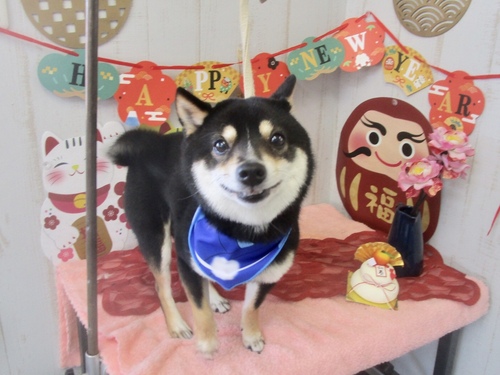 福来くん