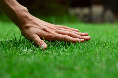 Rasenpflege - düngen, vertikutieren, aerifizieren von Green Fairway aus Burgwedel, Wettmar, Landkreis Hannover