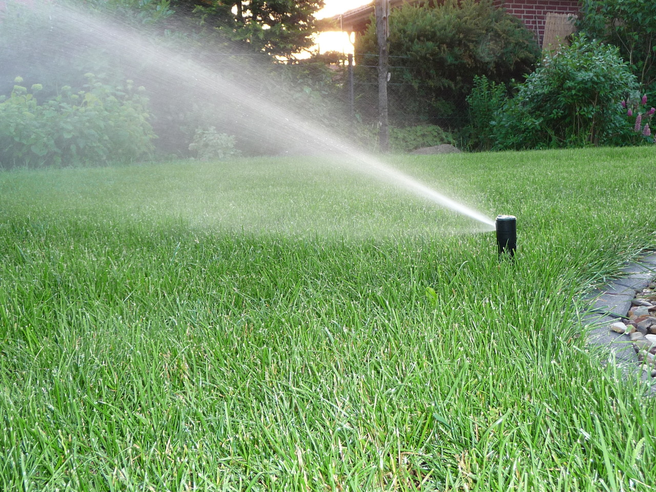 Rasen automatisch beregnen Gartenpflege