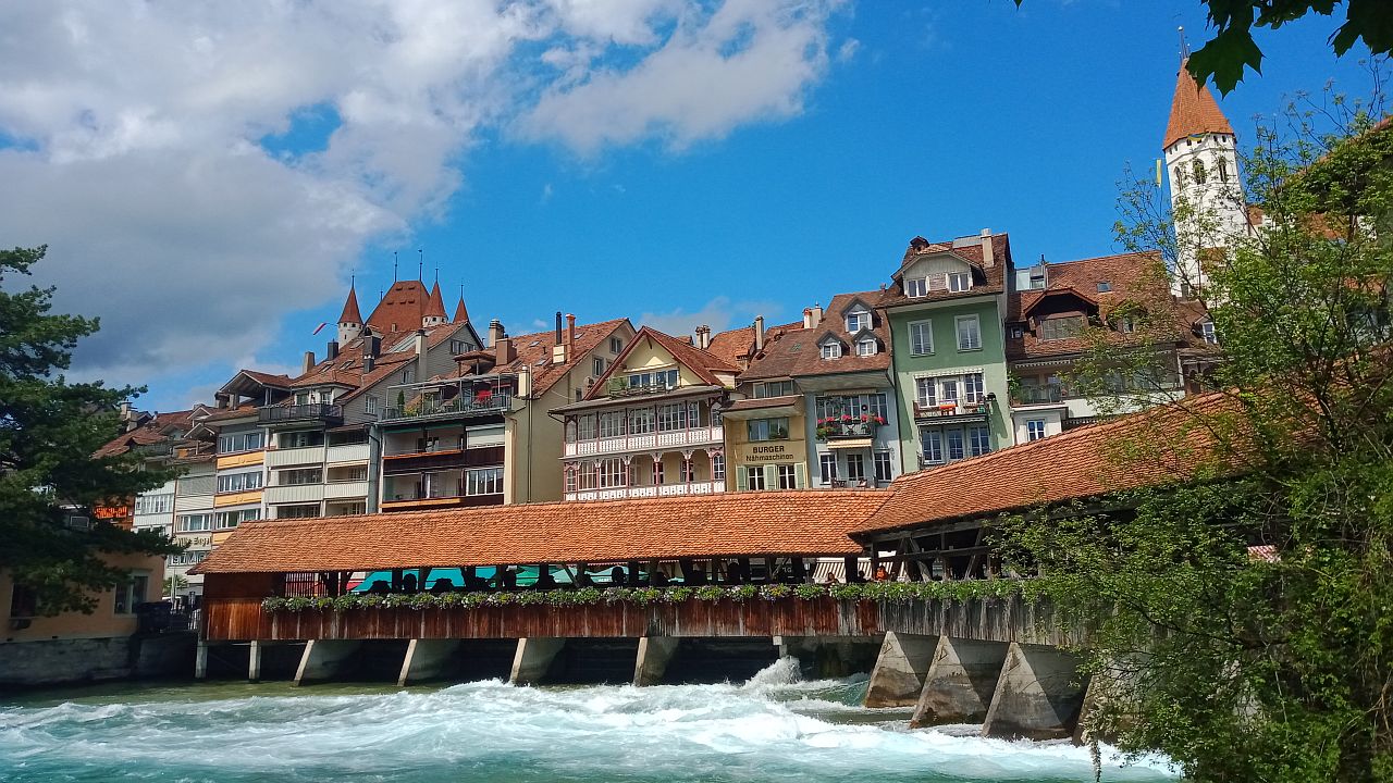 Wildpflanzenm rit thun thun info